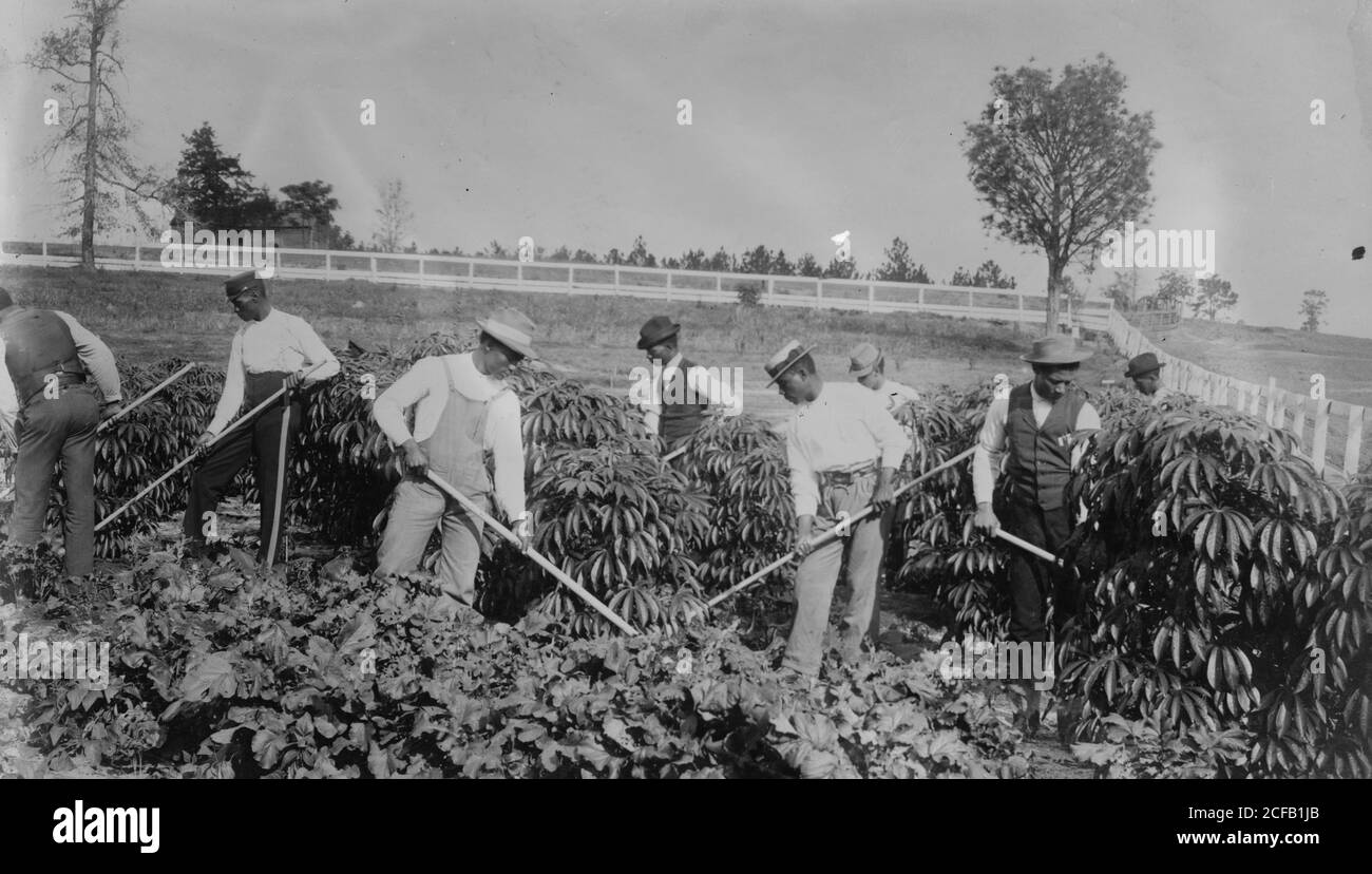 Field work, Tuskegee Stock Photo Alamy