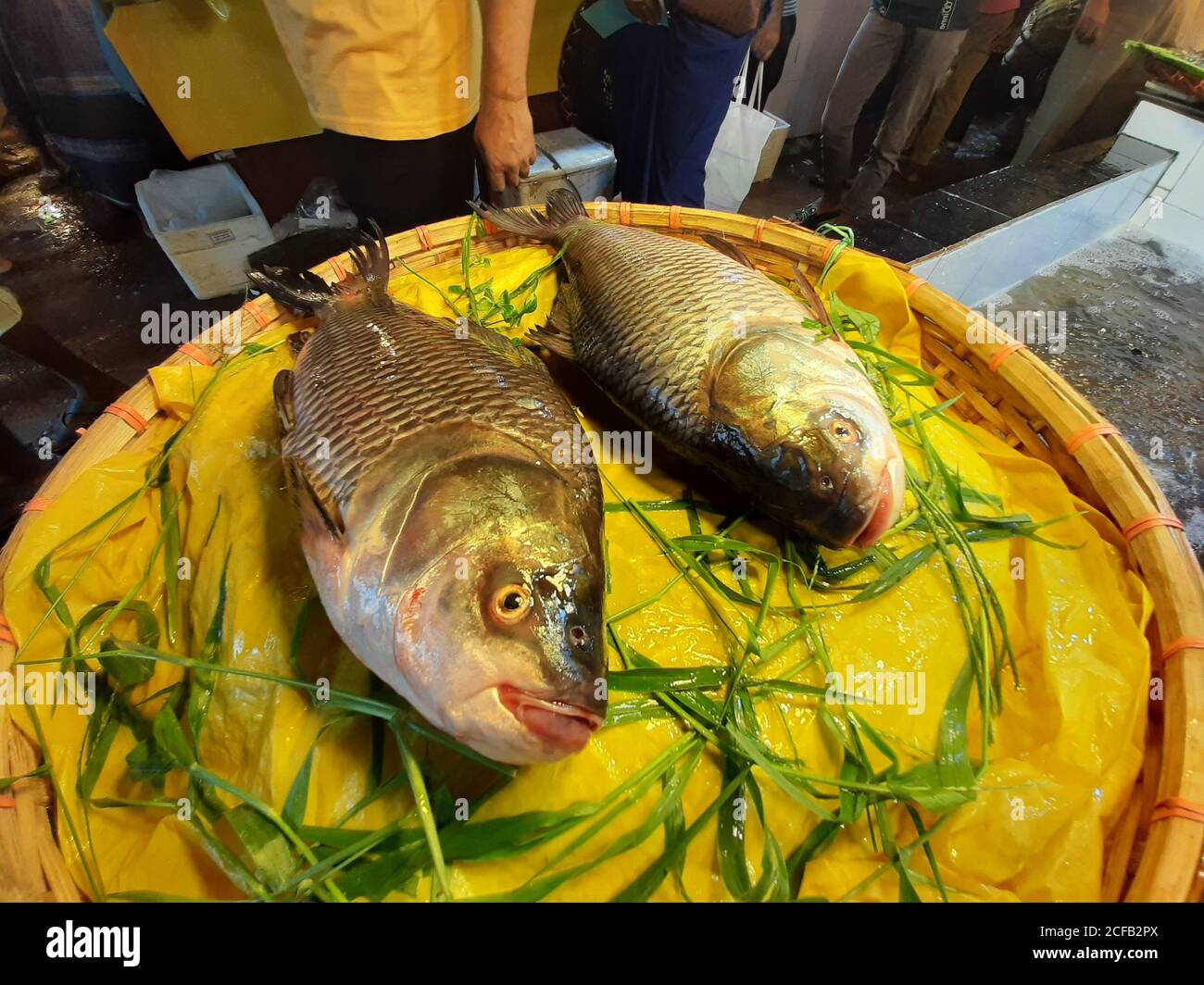 Fish is the main source of animal protein for Bangladeshi people.  Fish sellers are selling fish catch from fresh and brackish water. Stock Photo