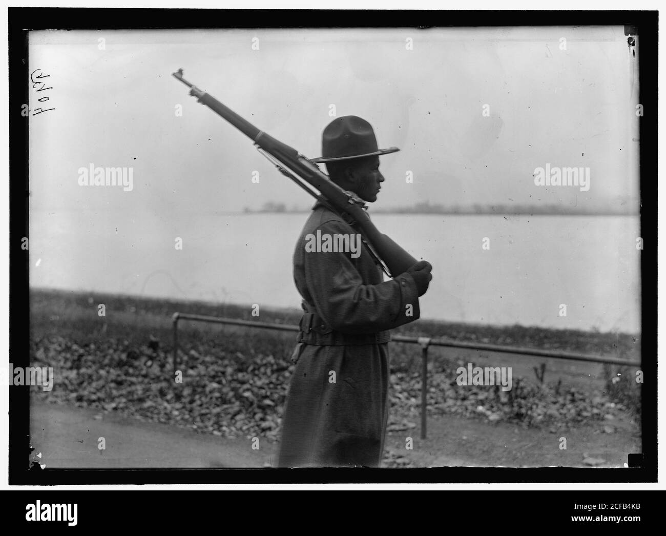 African drills Cut Out Stock Images & Pictures Alamy