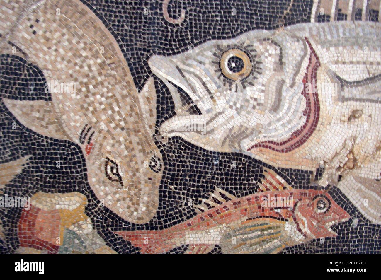 Roman fish mosaic hi-res stock photography and images - Alamy