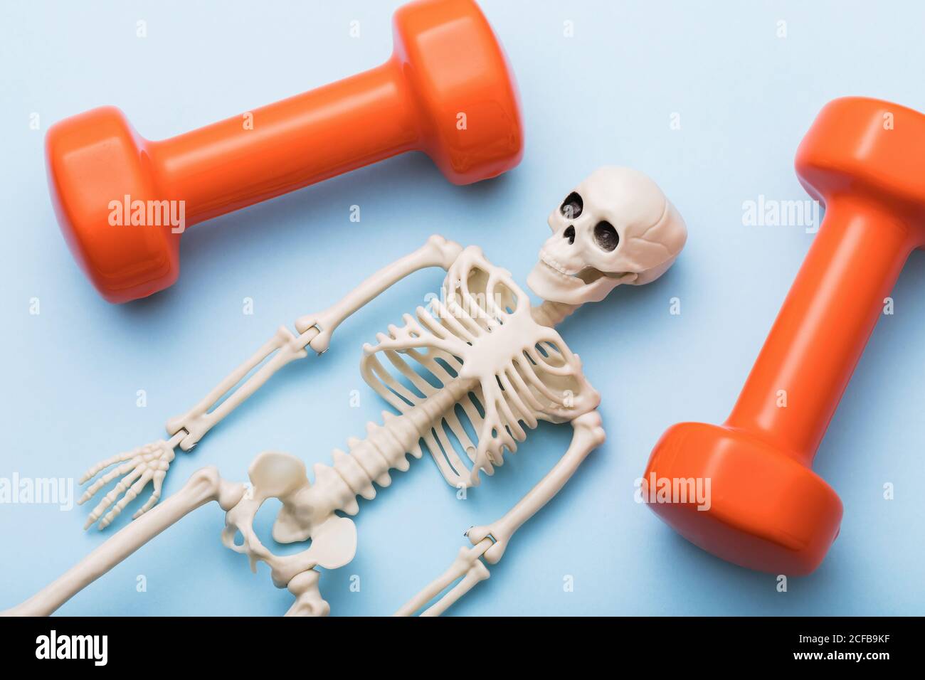 Human skeleton and dumbbells on a blue background. Concept on the topic of overload in sports Stock Photo