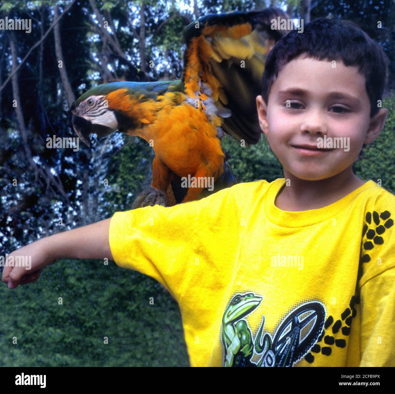 Young Boy with Parrot on arm Stock Photo