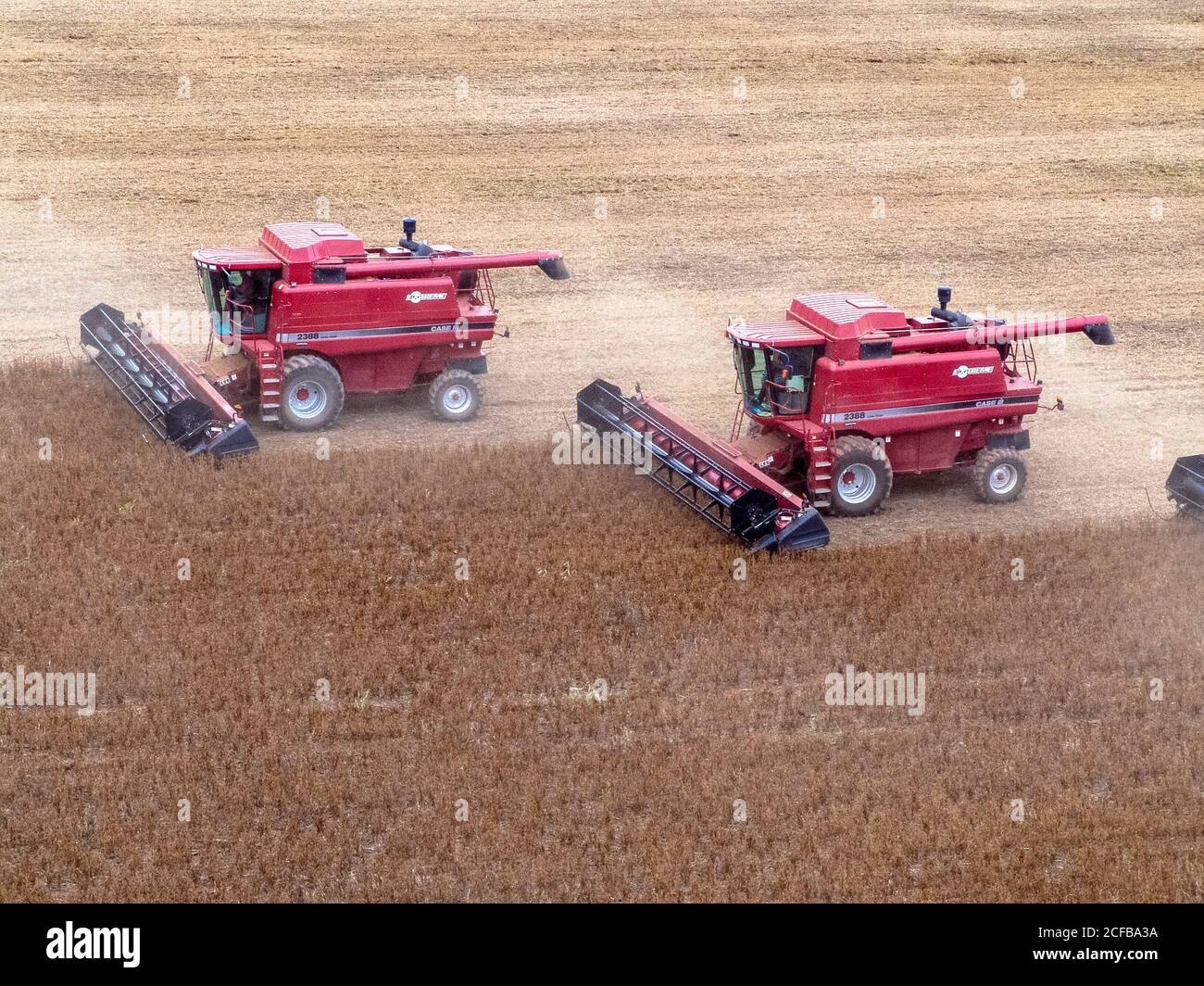 Soybean harvesting mato grosso hi-res stock photography and images - Alamy