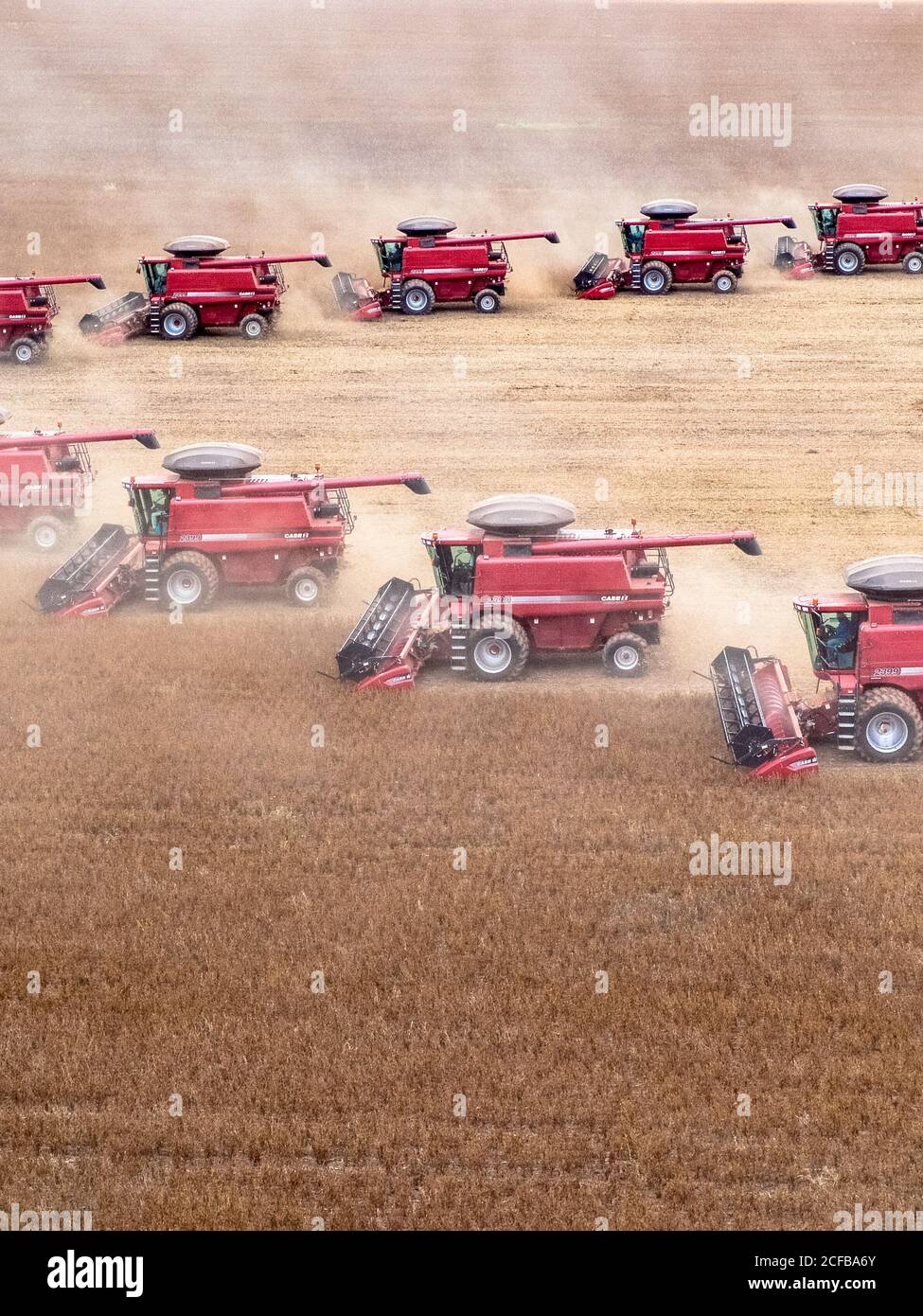 Soybean harvesting mato grosso hi-res stock photography and images - Alamy