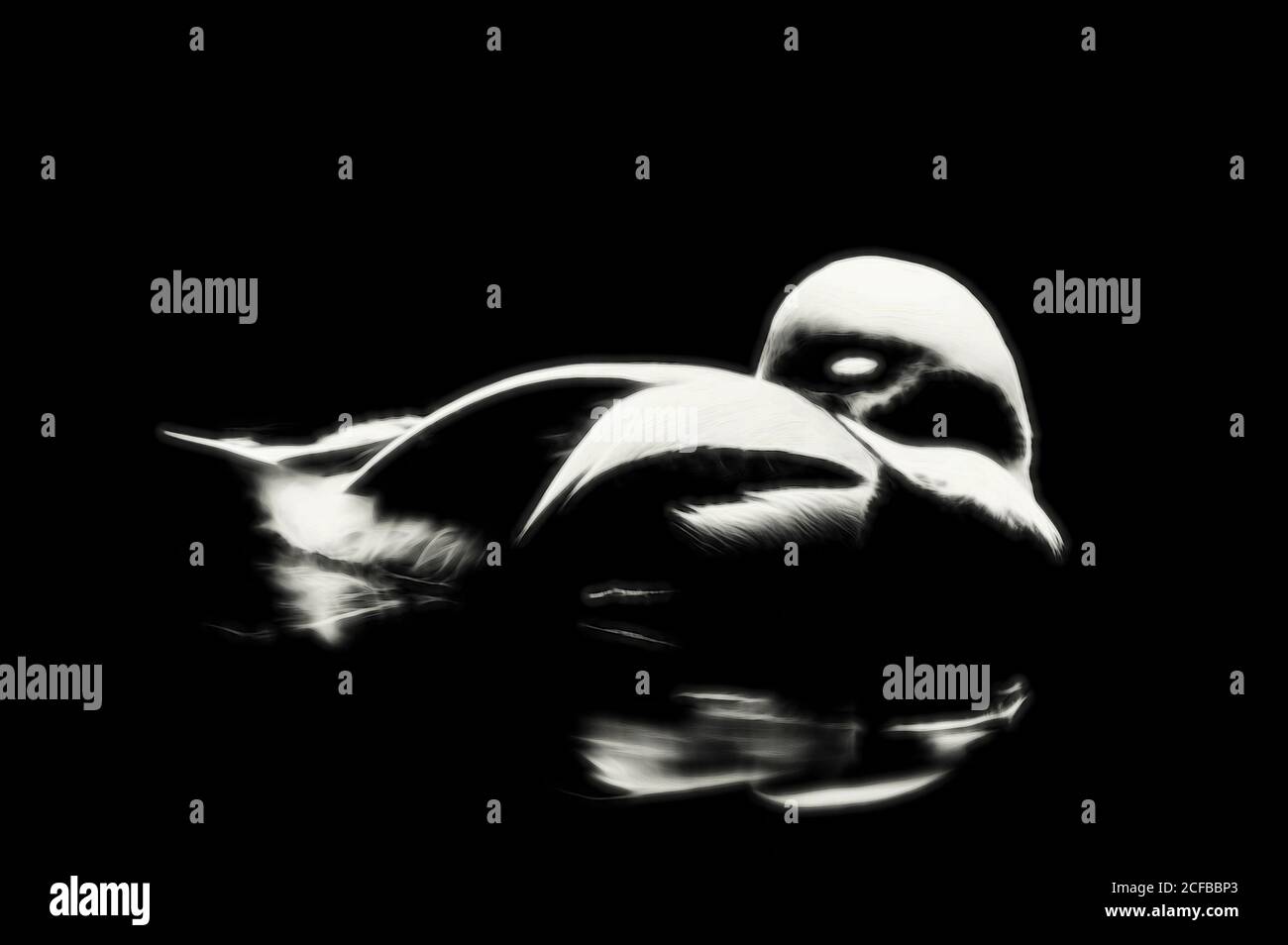 Black and white,soft focus enhanced sleeping duck floating calmly in a pond Stock Photo