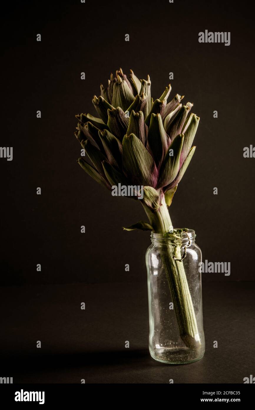 Fresh ripe artichoke place inside tiny glass bottle against black