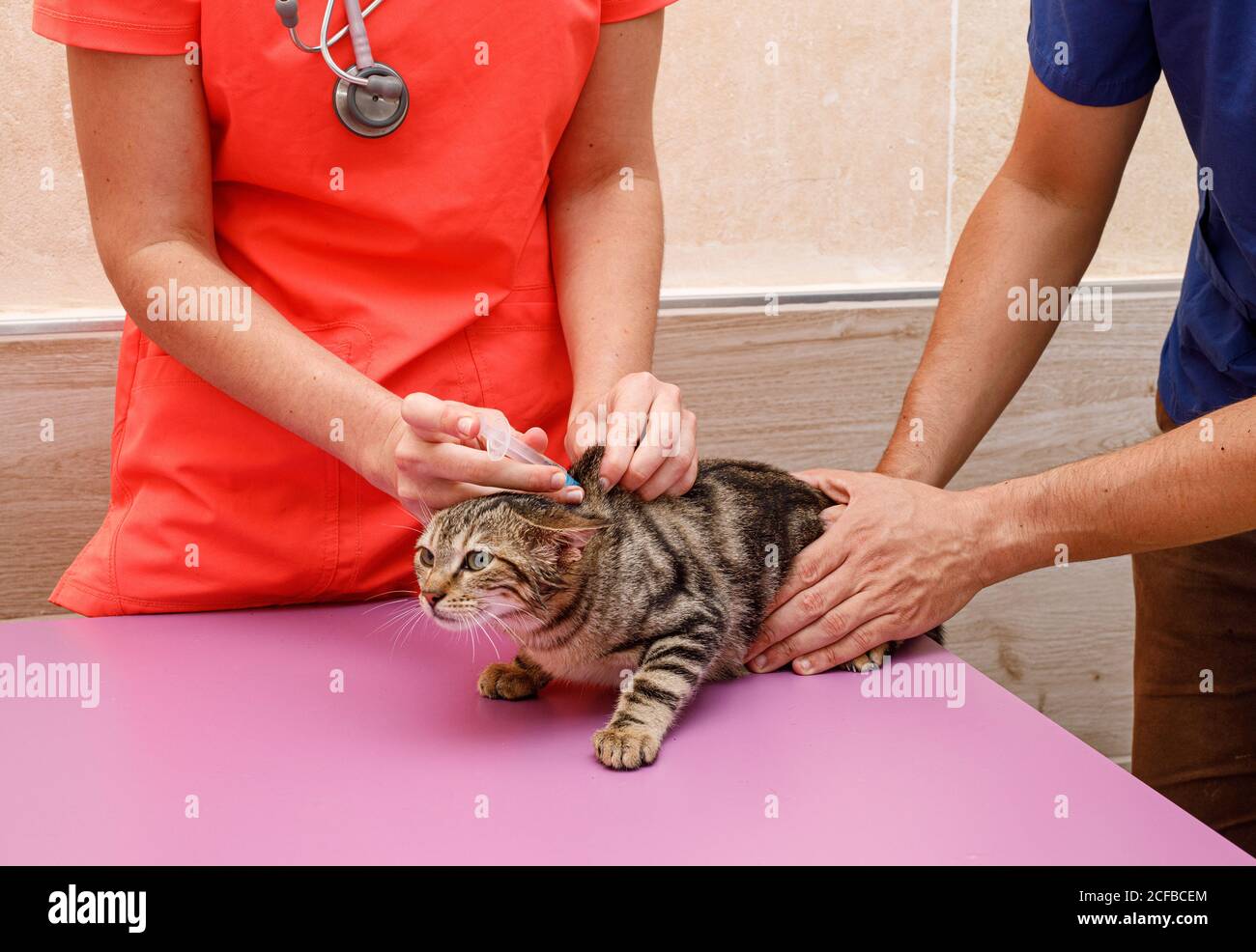 unrecognizable Woman in orange uniform giving a deworming vaccine with