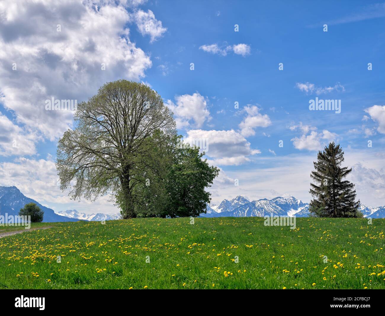 Lachen hi-res stock photography and images - Alamy