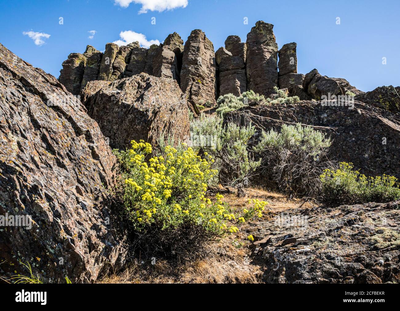 'The Feathers' rock formation at Frenchmans Coulee in Eastern Washington, USA Stock Photo