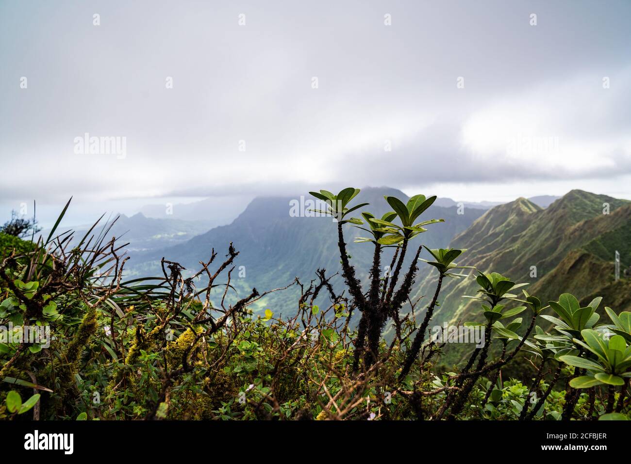 Stairway to heaven oahu hawaii hi-res stock photography and images - Alamy