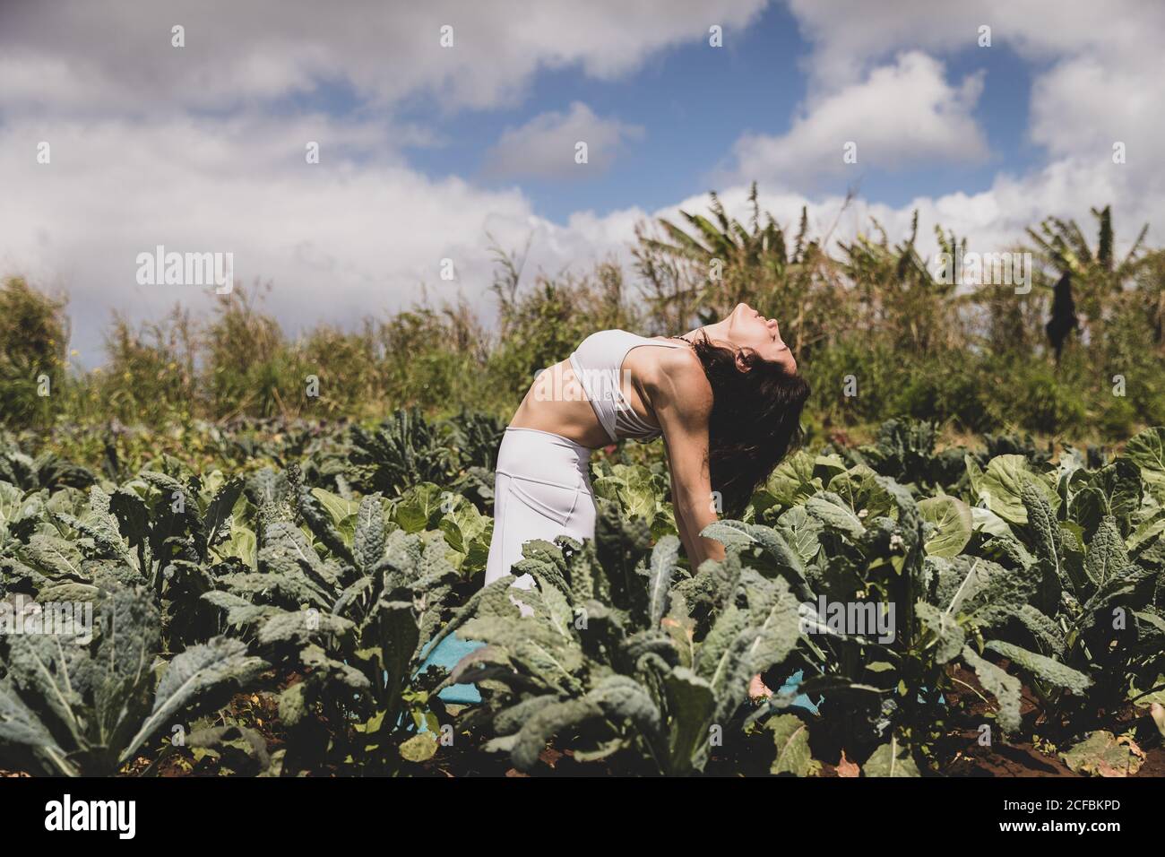 Female yogi backbends in a field of vegetables Stock Photo