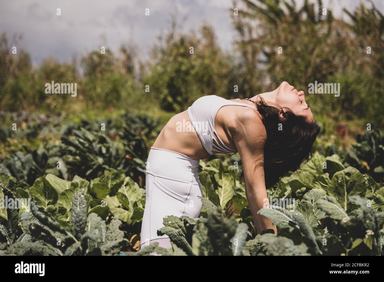 Female yogi backbends in a field Stock Photo