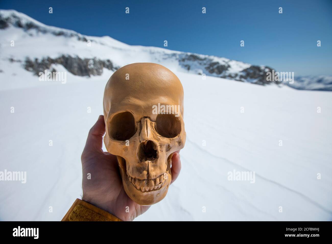 Man holds human skull, artifact in winter landscape. Stock Photo