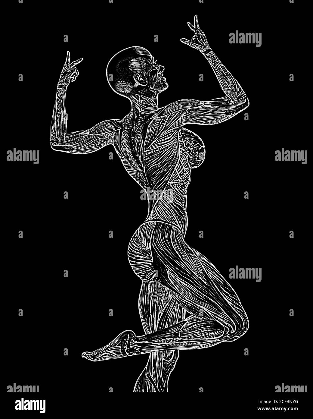 female bodybuilding in muscle maps is doing a bodybuilder pose three in white background close up view, 3d illustration Stock Photo