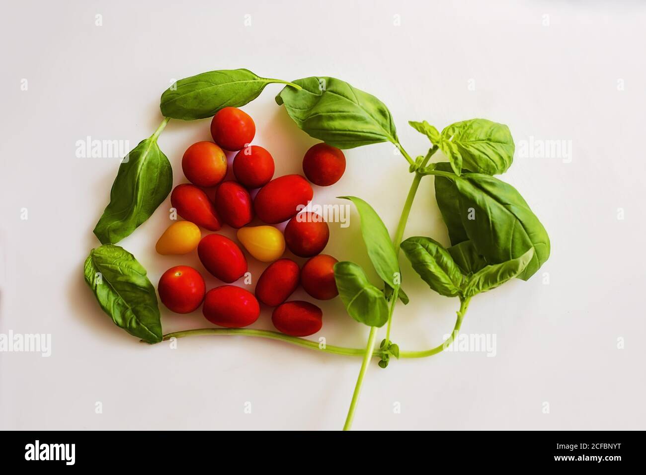 Flat lay arrangement of fresh basil leaves and cherry tomatoes on white ...