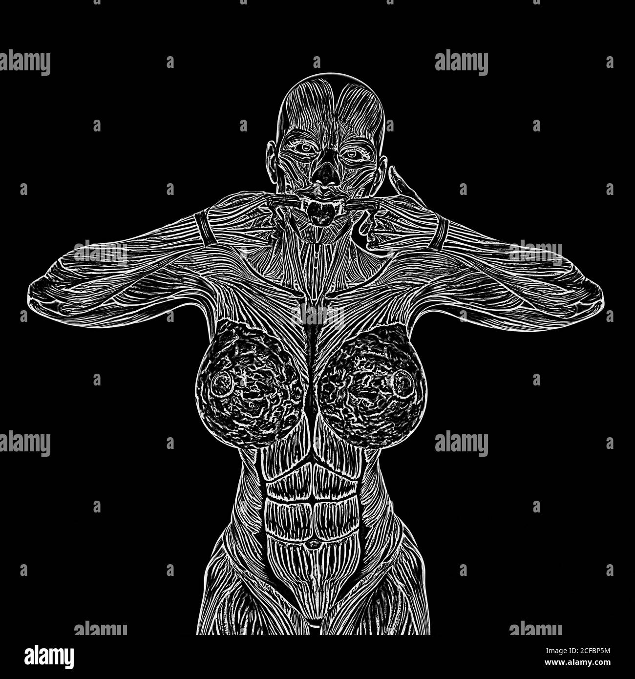 female bodybuilding in muscle maps is pulling faces in white background, 3d illustration Stock Photo