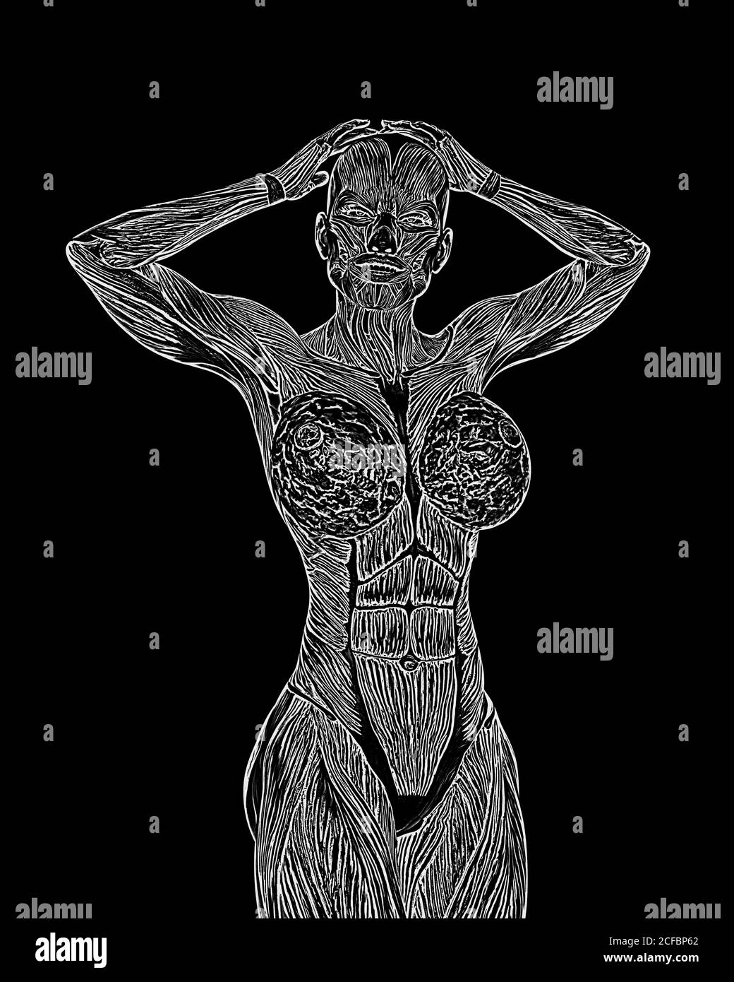 female bodybuilding in muscle maps is doing a bodybuilder pose two in white background close up view, 3d illustration Stock Photo