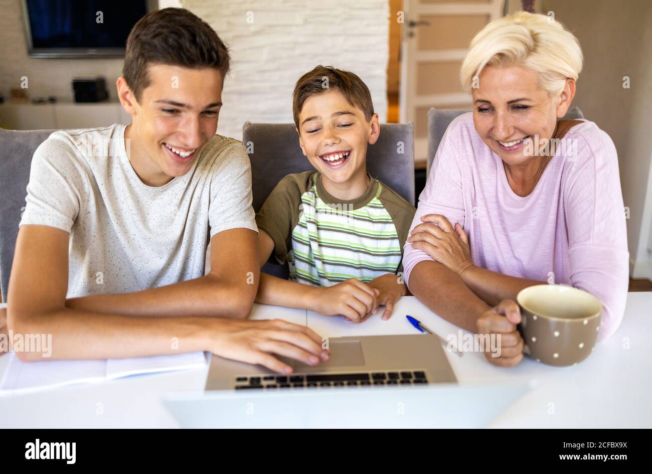 Mother with her two sons using laptop at home Stock Photo