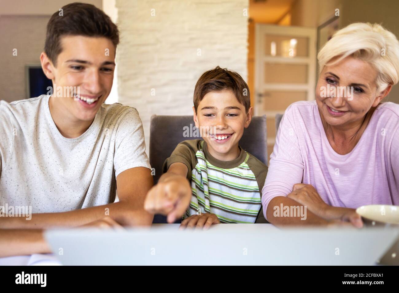 Mother with her two sons using laptop at home Stock Photo