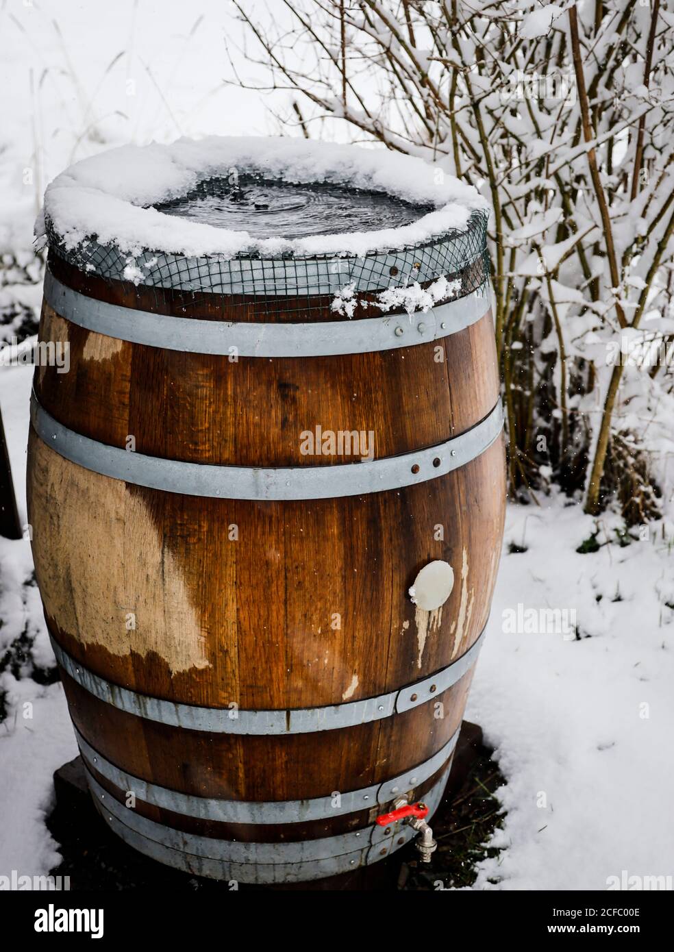 Rain barrel made of oak in winter Stock Photo