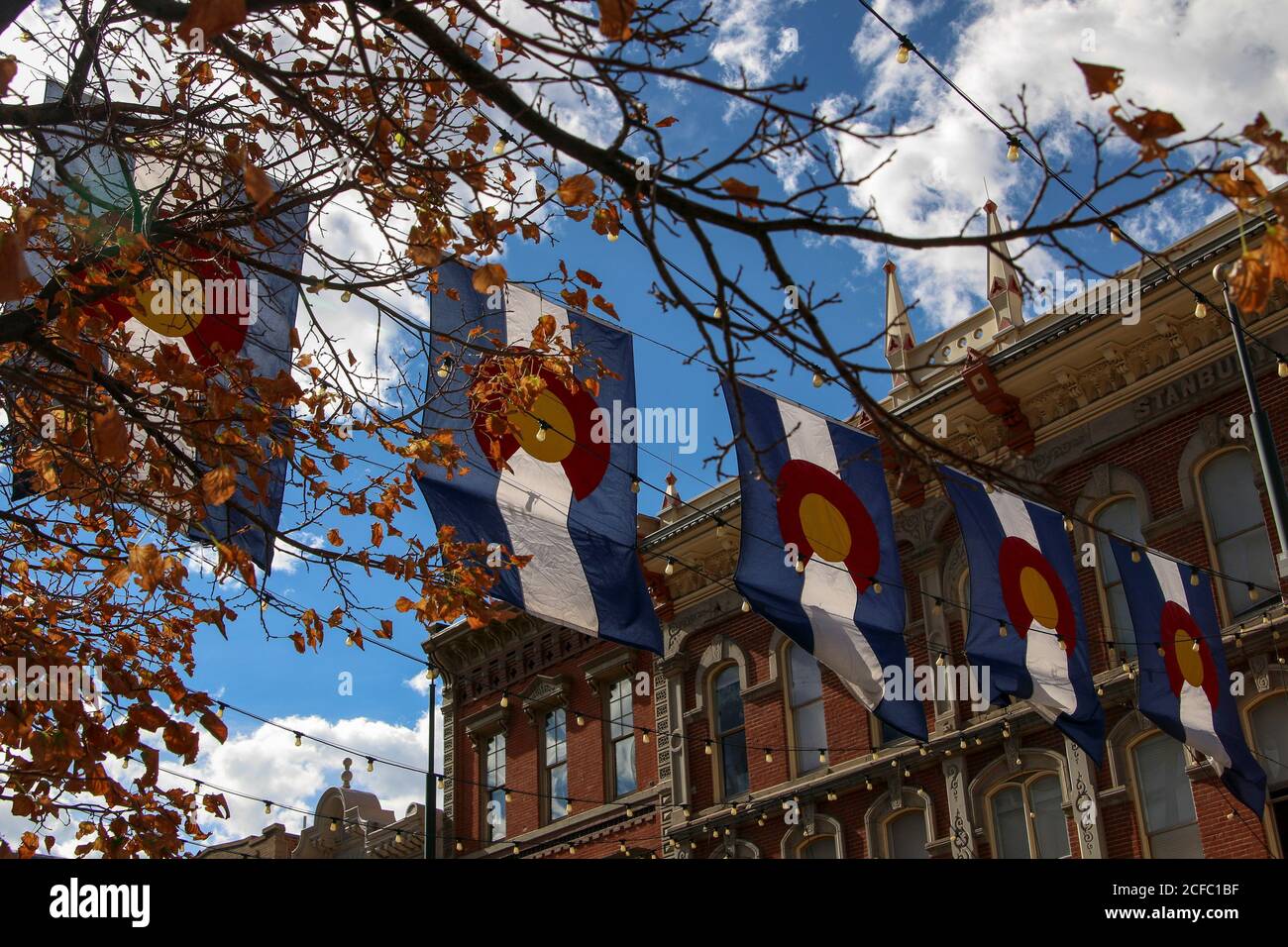 Denver Colorado flags in downtown behind autumnal tree Stock Photo Alamy
