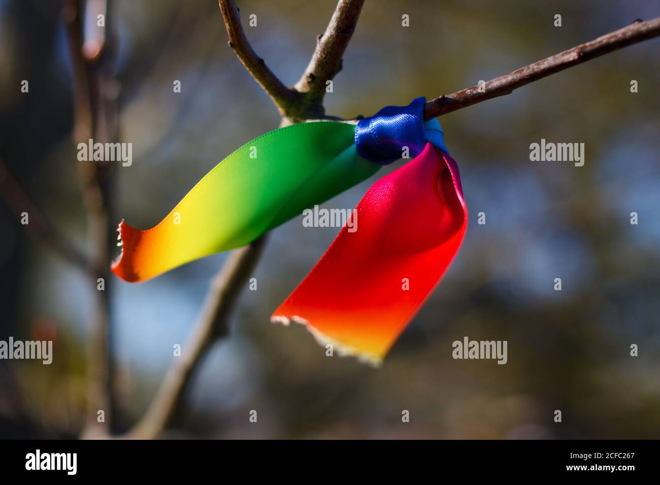 Rainbow Multicolour Ribbon Tied to a Tree Branch Stock Photo - Alamy