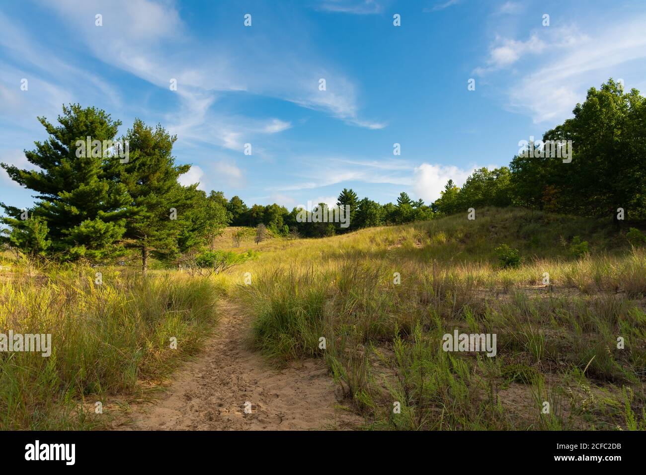 Landscape along the Dunes Ridge Trail on a beautiful September morning ...