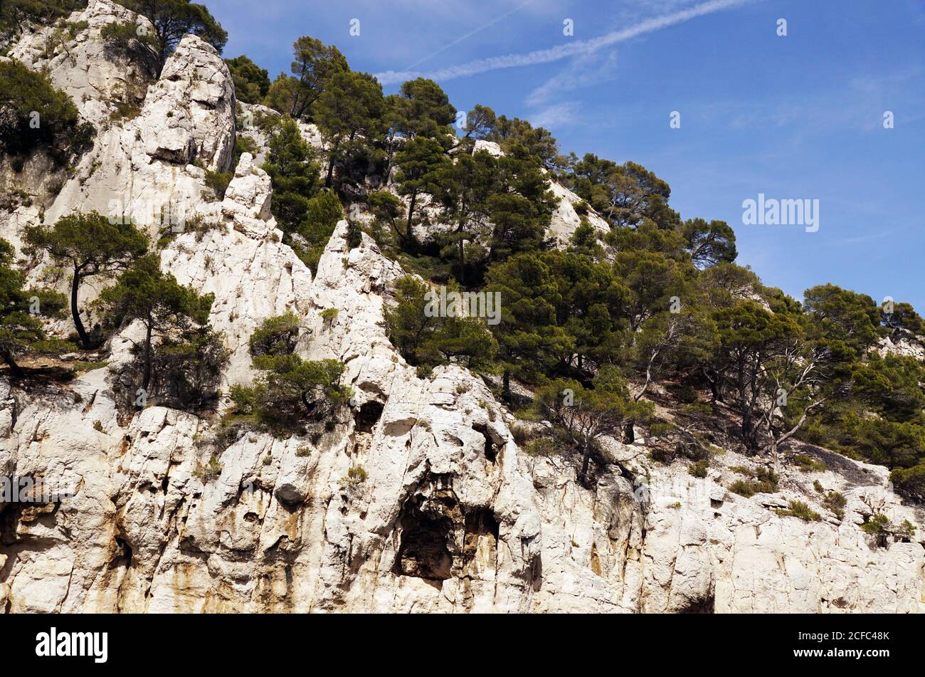 Mountain landscape with white rocks and trees Stock Photo - Alamy