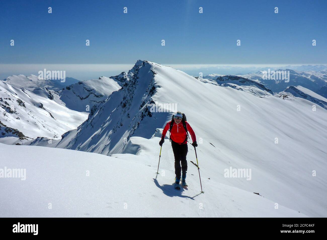 Cima sebolet hires stock photography and images Alamy