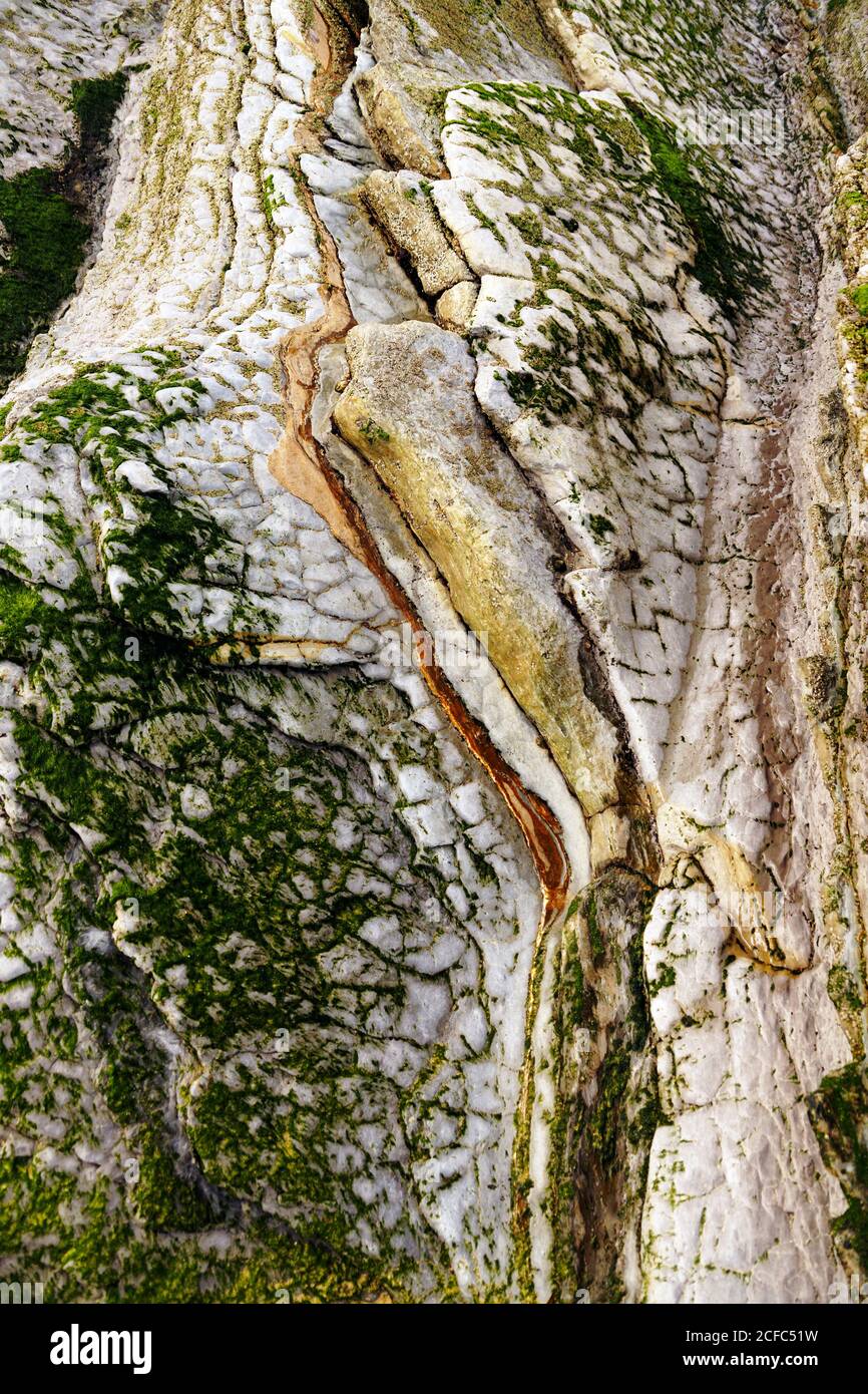 Beautiful green moss on rough stone Stock Photo