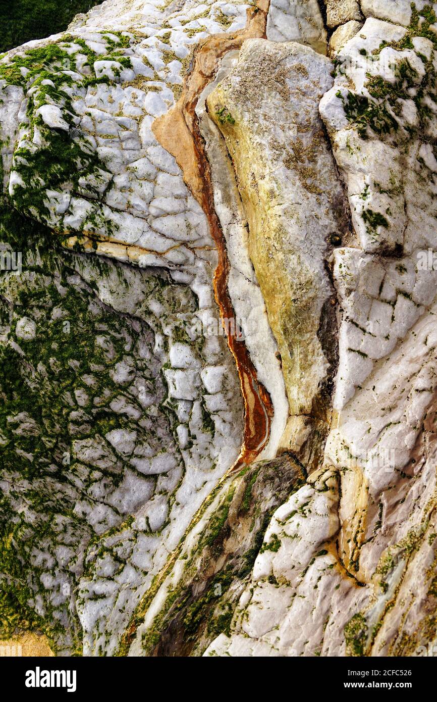 Beautiful green moss on rough stone Stock Photo