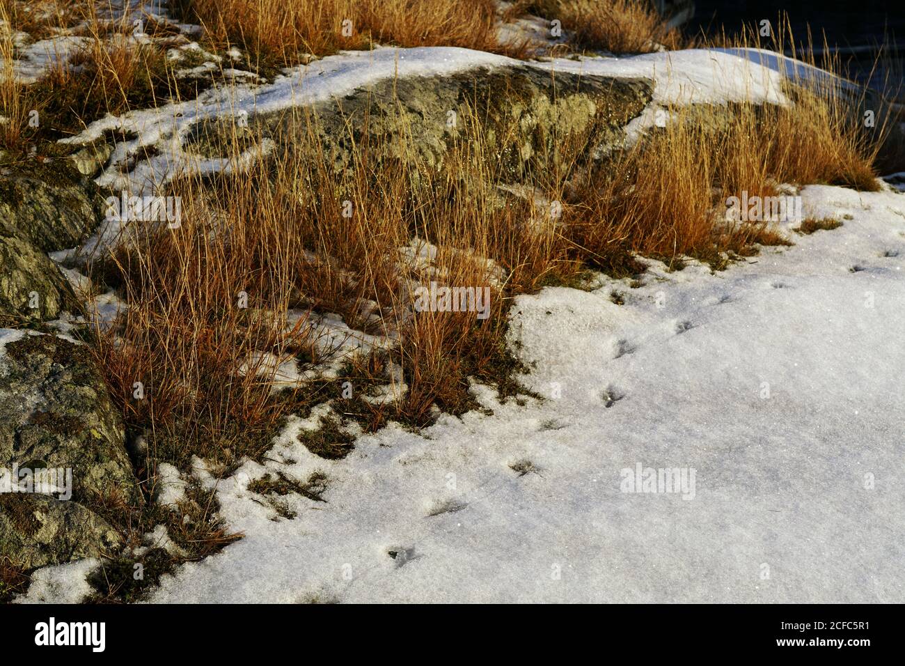 Shallow line hi-res stock photography and images - Alamy