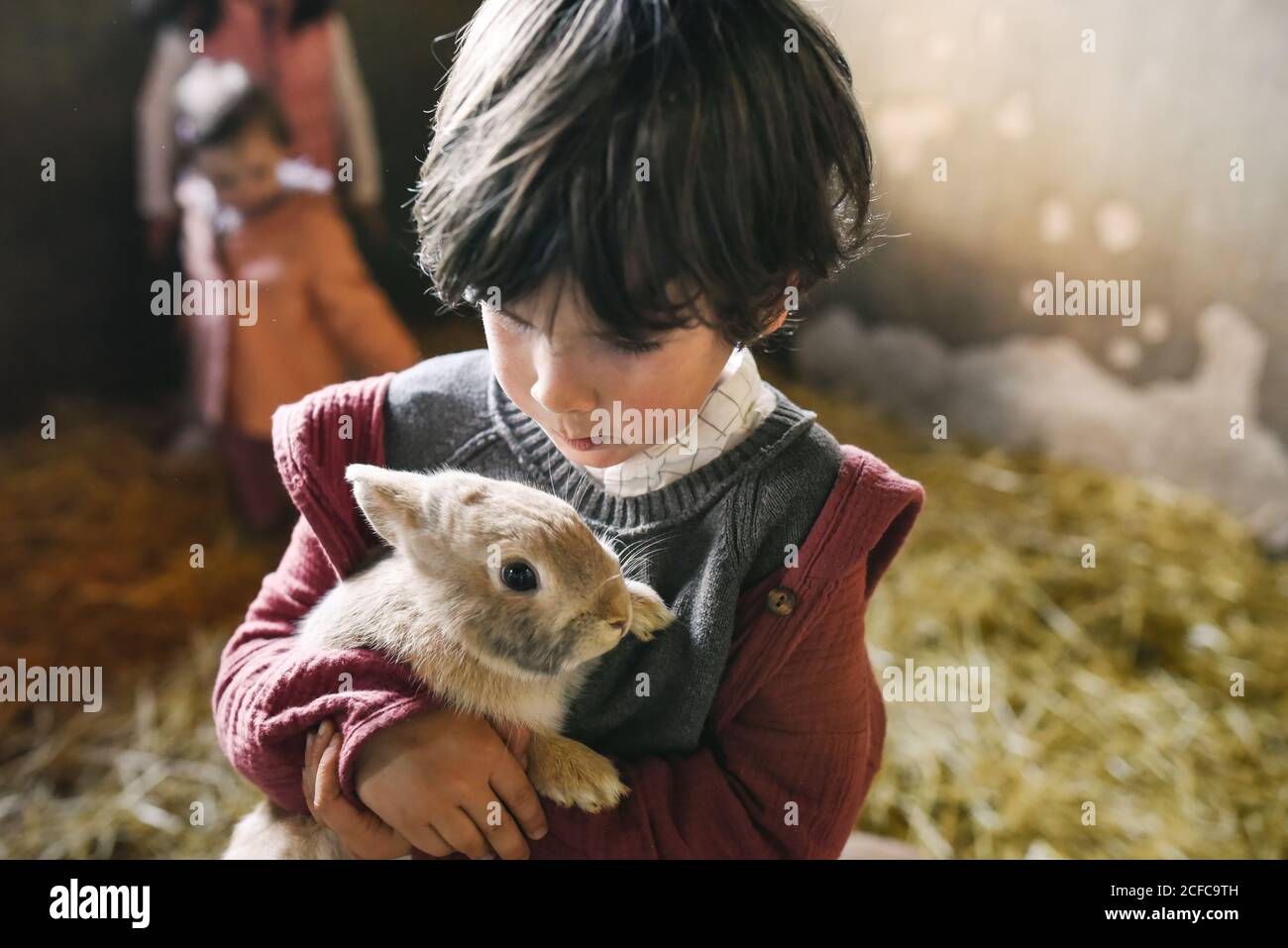 Cute little boy holding lovely little bunny standing in sunlight in ...