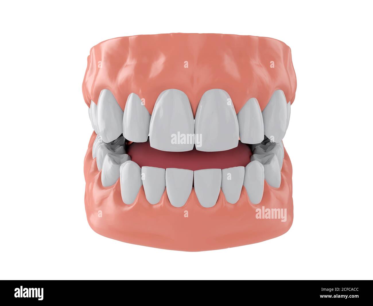 human jaw with white healthy straight teeth, correct bite, 3d render