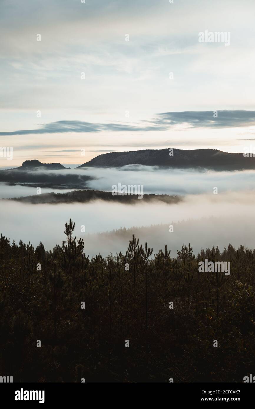 Green landscape dense trees hi-res stock photography and images - Alamy
