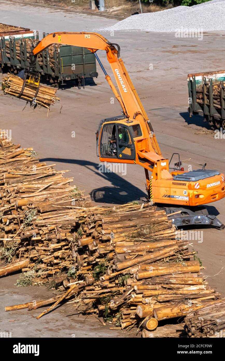 Wood and paper industry logs transportation with lifter and truck. Stock Photo