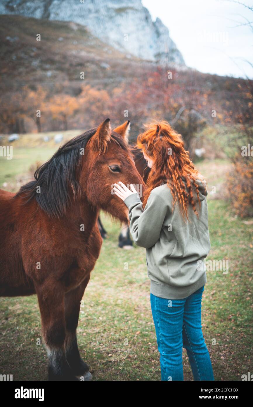 Side view of smiling Woman with long red hair in hoodie stroking brown horse with black mane in mountain pasture Stock Photo
