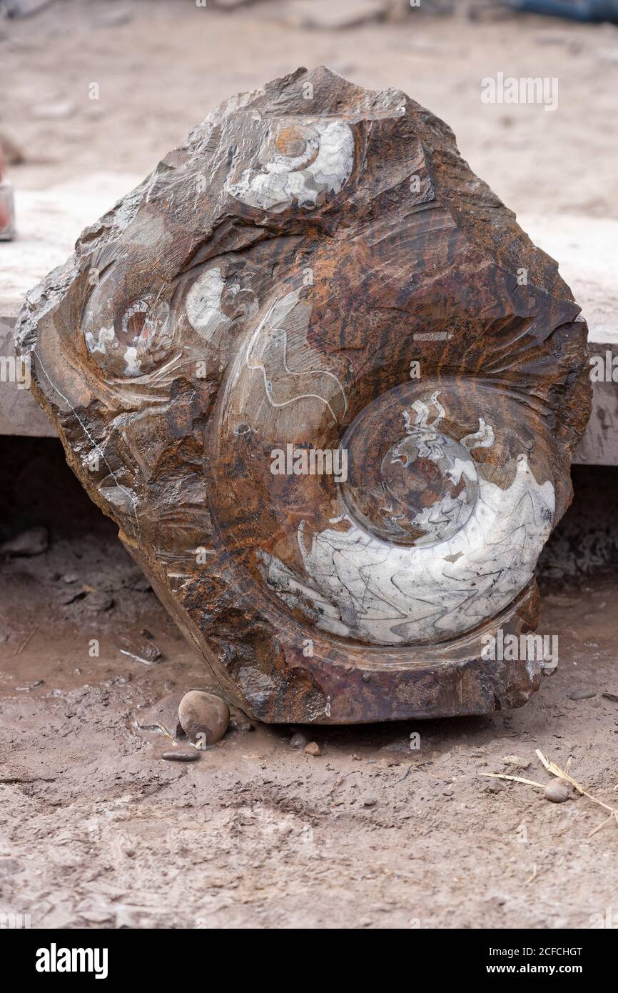 Erfoud, Macro Fossiles Kasbah, Morocco, archaeology, prehistoric Stock Photo