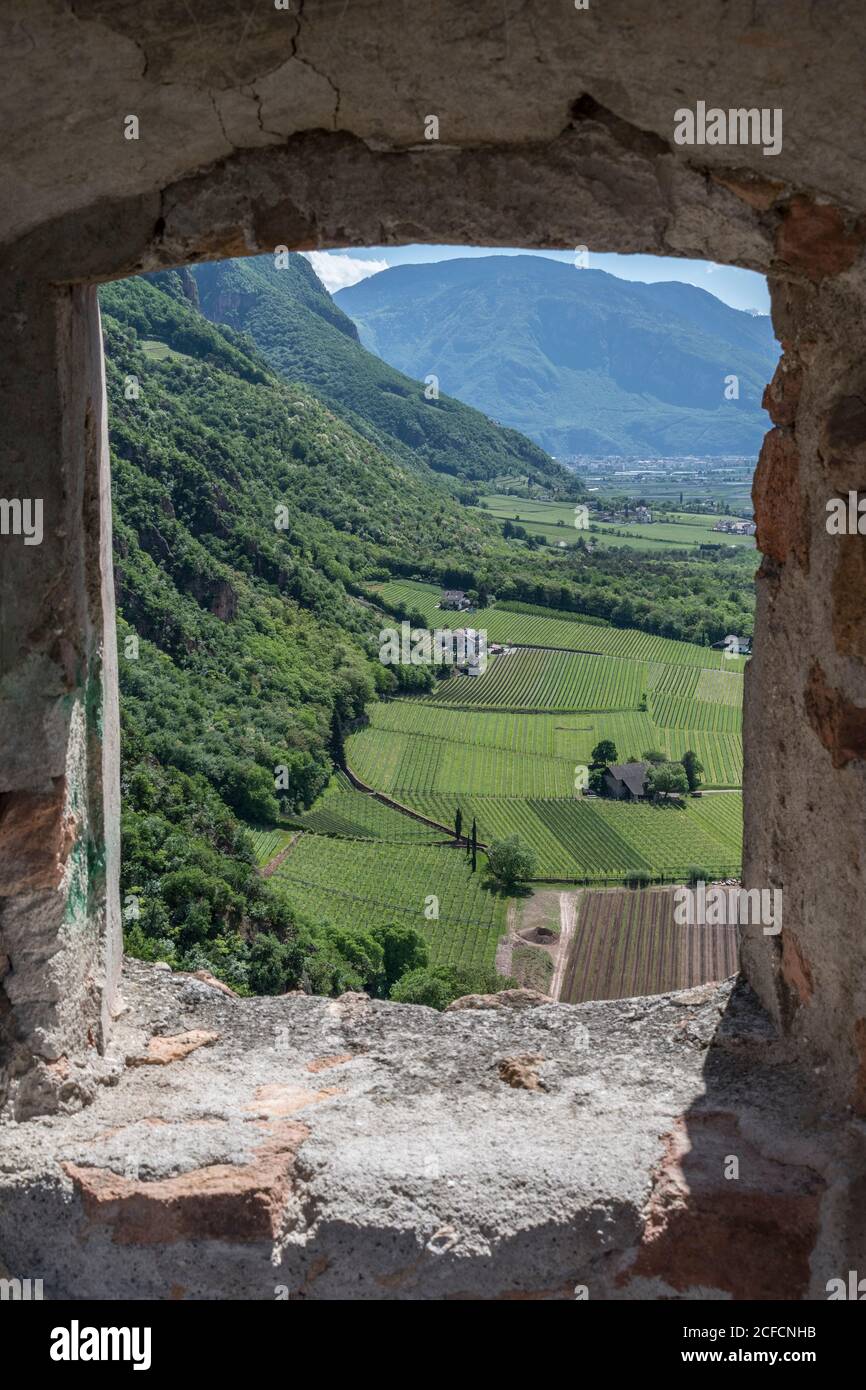 Italy, Trentino-South Tyrol, South Tyrol, Alto Adige, Etschtal, Terlan / Terlano, wine growing, Terlan winery, overviews, wine village Terlan Stock Photo