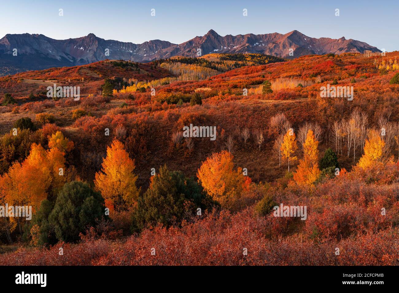 Dallas Divide scenic landscape with Aspen trees and fall colors in the San Juan Mountains, Colorado Stock Photo