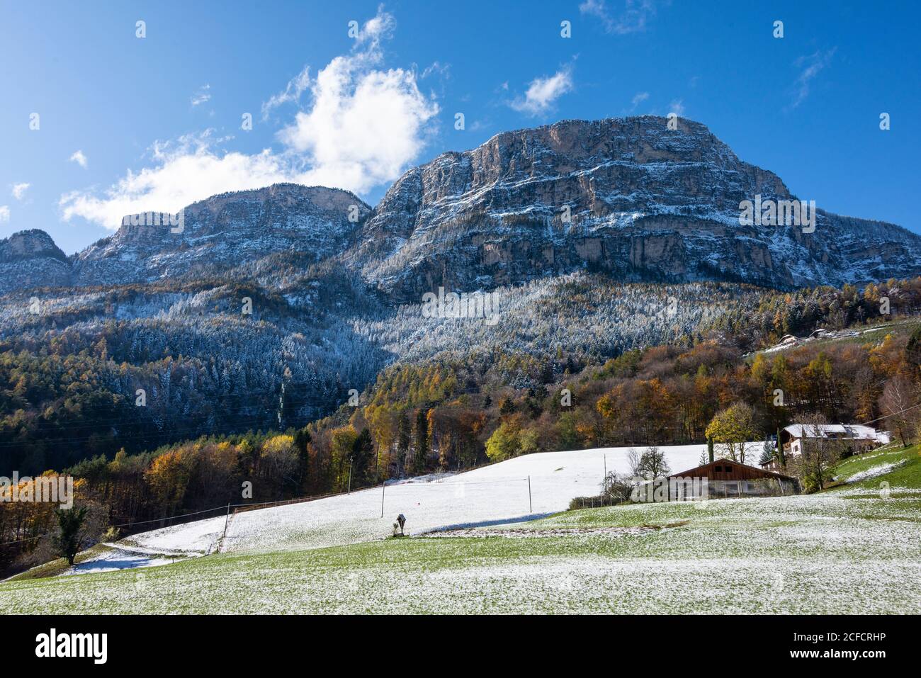 Italy, Trentino-South Tyrol, Alto Adige, South Tyrol, Adige Valley, fraction of the municipality Eppan, Pertonig Gantkofel Stock Photo