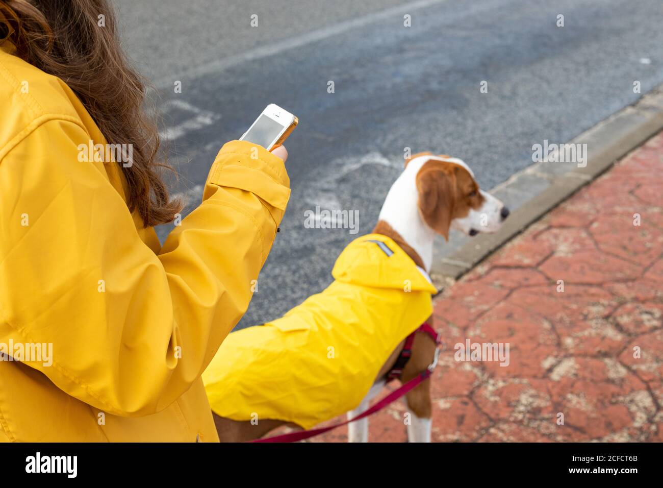 smartphone leash
