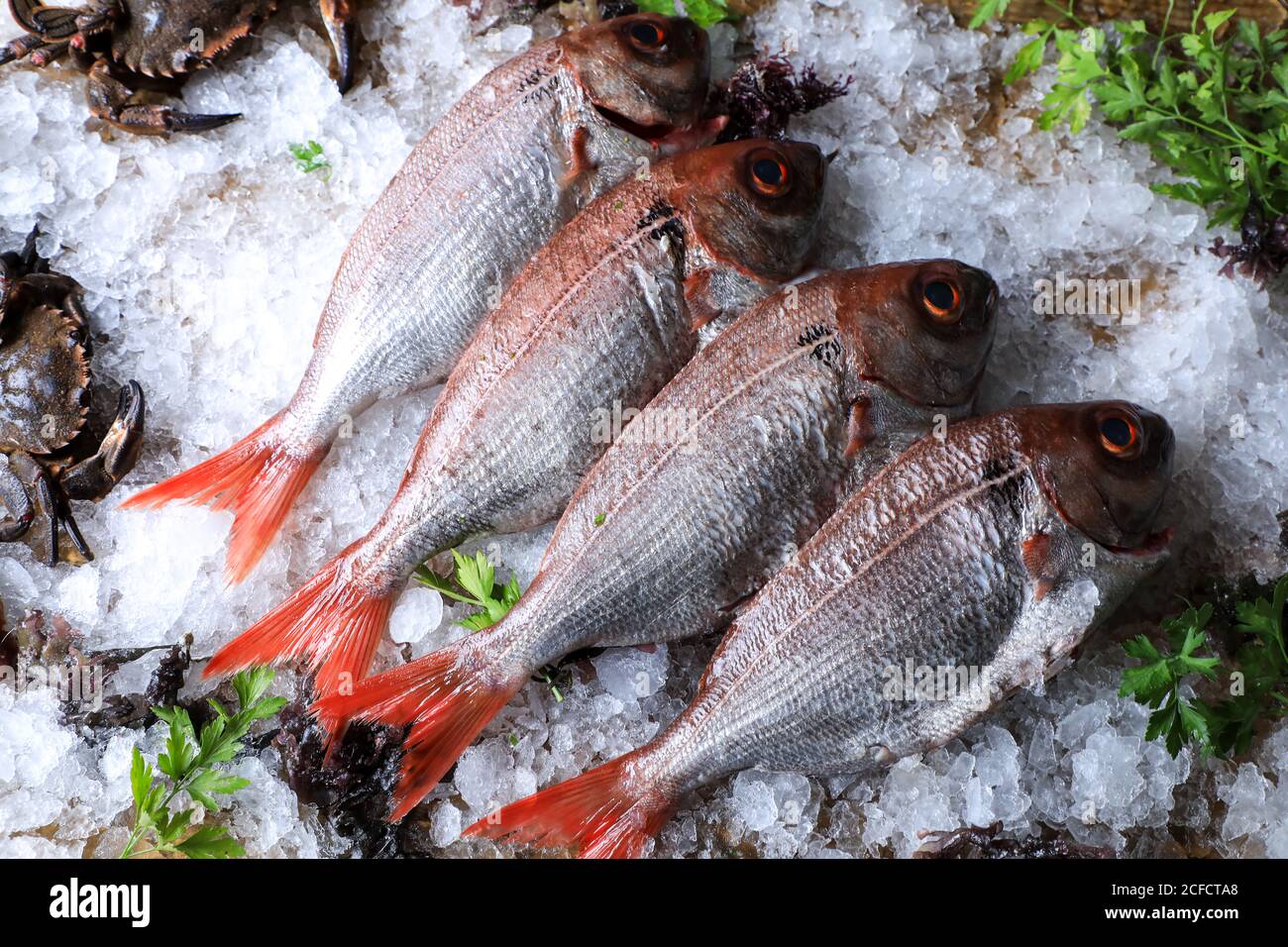 Saving fish hi-res stock photography and images - Alamy