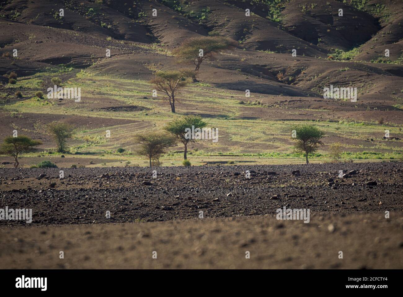 Amazing desert landscape with dry vegetation sand rocky hills in semi-desert Stock Photo