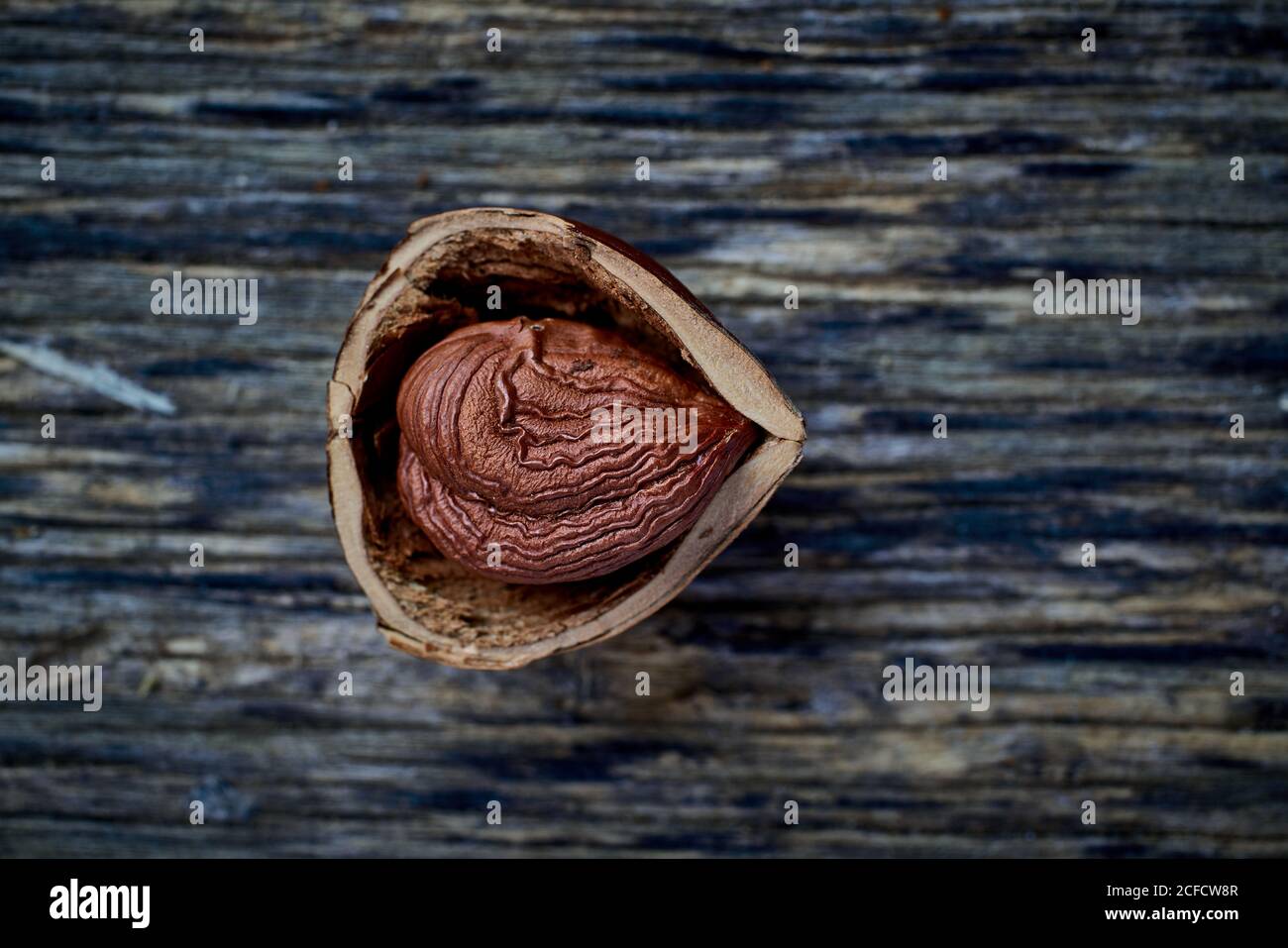 Half peeled hazelnut on table Stock Photo