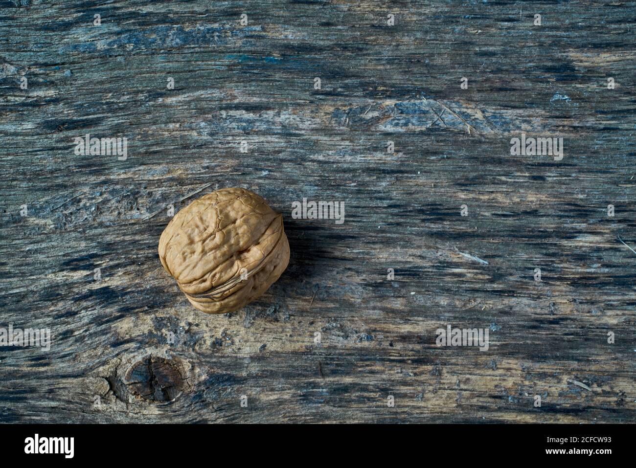 Unpeeled walnut on the table Stock Photo