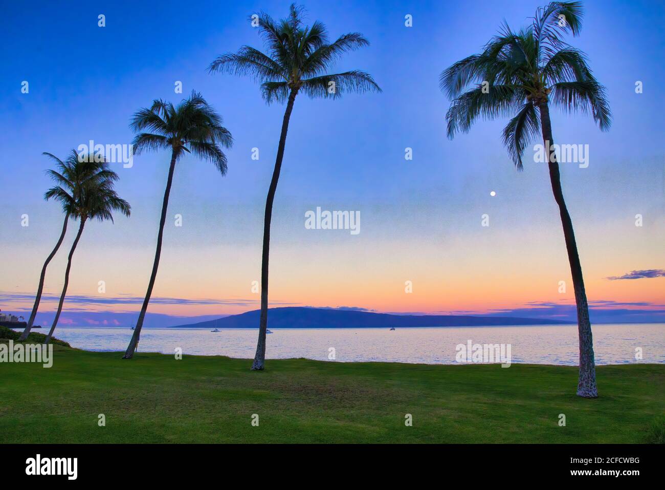Peaceful view of airport beach at sunrise with full moon setting beyond palm trees. Stock Photo