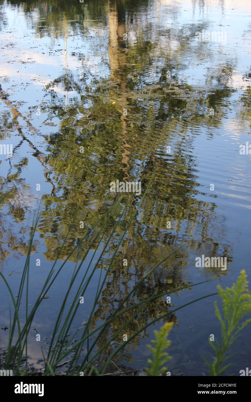 Reflections of the trees in the lake Stock Photo - Alamy