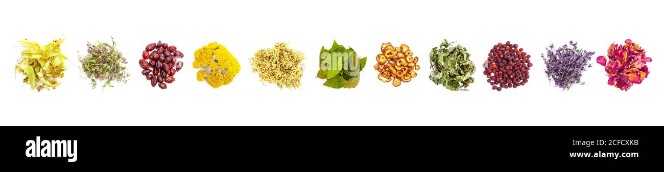 Various herbs on white background as banners Stock Photo