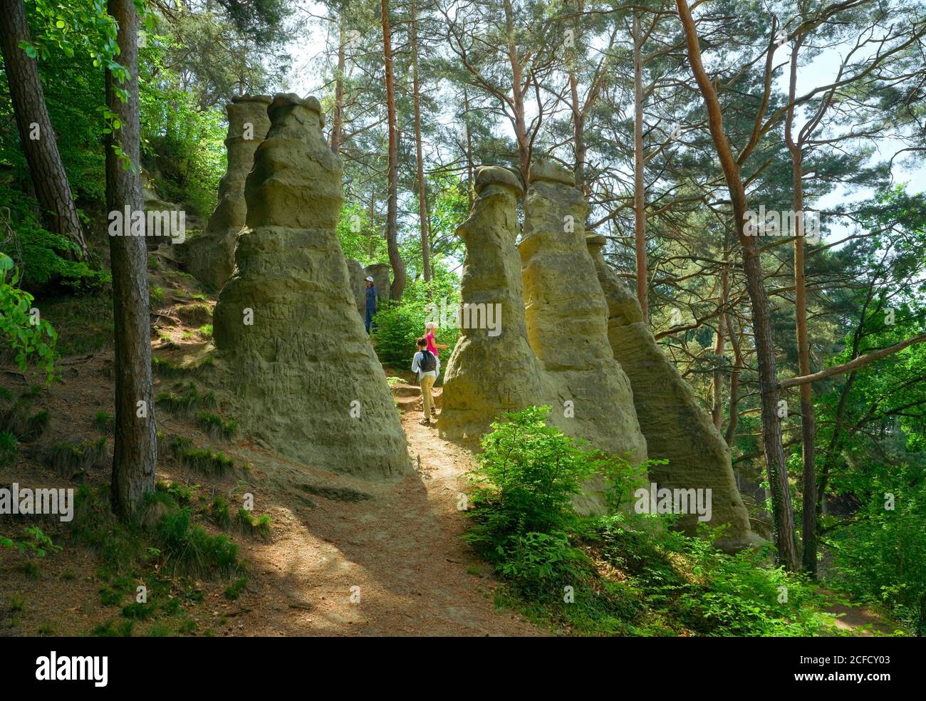 Germany, Baden-Württemberg, Sipplingen, The 7 Churfirsten are pillar-like sandstone cliffs, which were created in the post-ice age by the action of Stock Photo